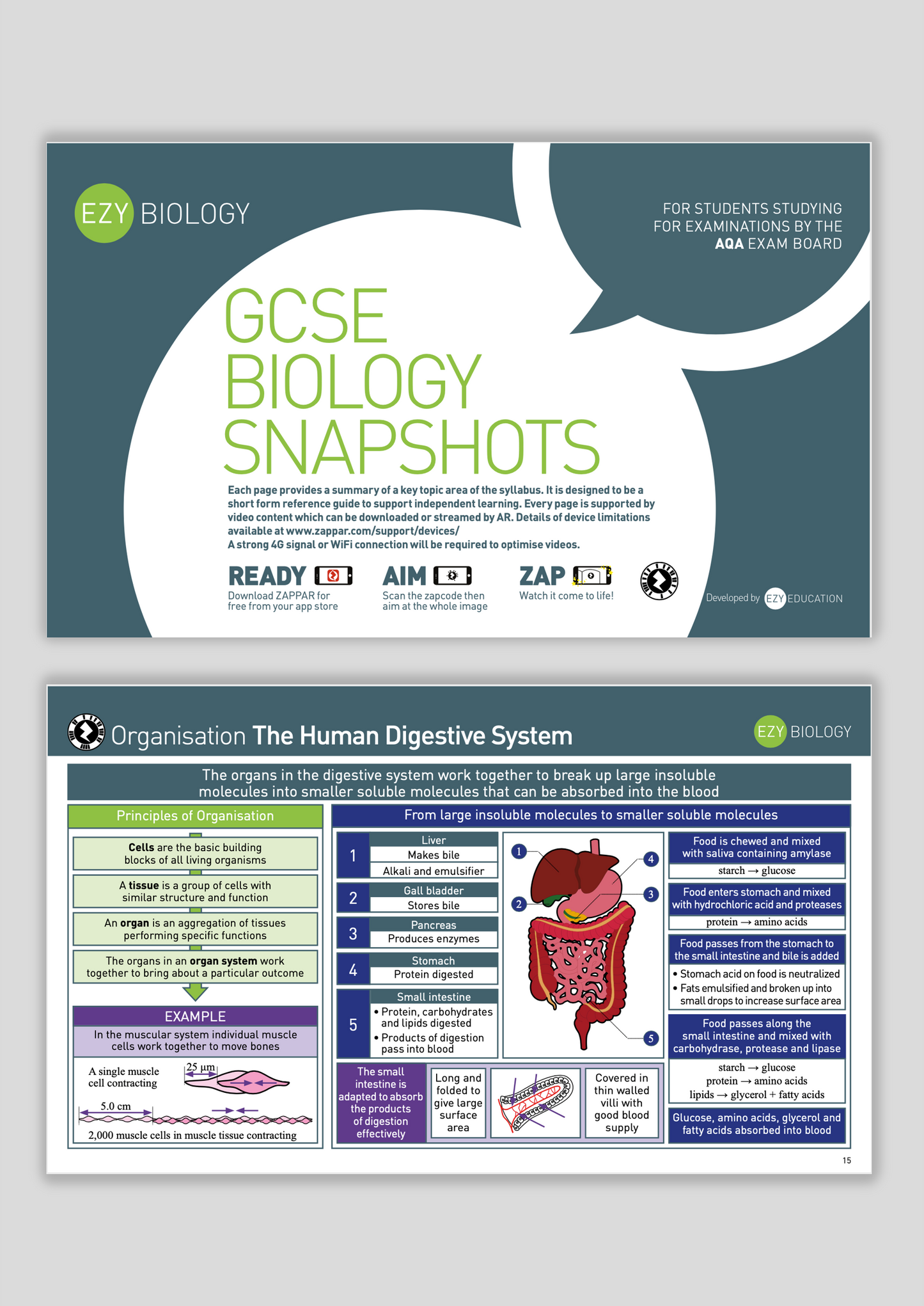 Maxi Snapshot Booklet - EzyScience - GCSE - Biology Higher - AQA